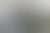 IMG 3687